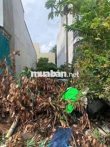 Bán nền KDC Thới Nhựt 2 giá 4,2 tỷ