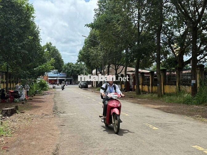 📢📢 Đất Mặt Tiền Đường Nay Thông - Ngay Đại học Tây Nguyên -.