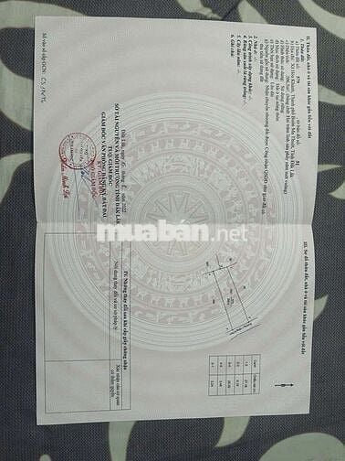 Chính chủ bán đất hòa khánh - buôn ma thuột