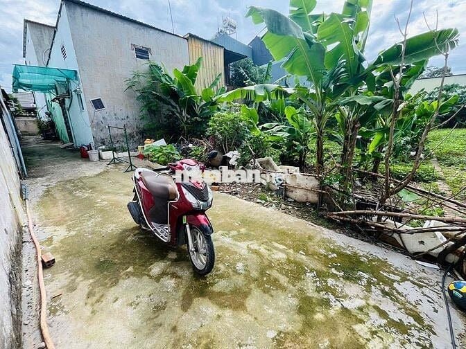 ĐẤT SỔ RIÊNG 261m hẻm 262 Bùi Thị Xuân gần chợ Tân Bình
