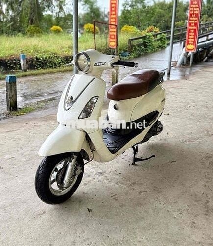 -Atila Alizabet Máy Êm Mạnh Giấy Tờ Đầy Đủ