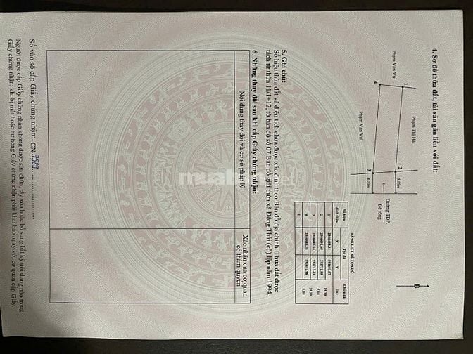 Cần bán lô đất mặt trục xóm tại Bạch Mai, Đồng Thái, An Dương, hải pho