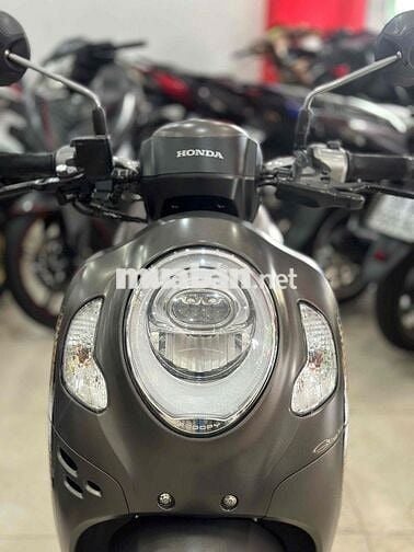 Honda Scoopy 2023.Xám Nâu Bản ĐB.Khoá Makey.BSTP
