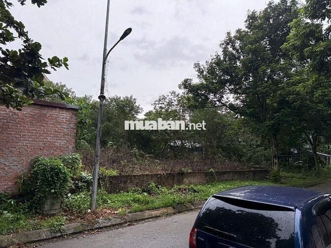 Bán đất KDT Hà Phong, Tiền Phong, Mê Linh. Gần trường DH Tài Chính và