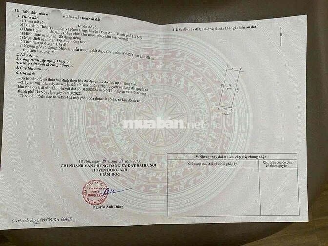50,8 m mt 4 m nở hậu tằng my nam hồng ĐA-HN