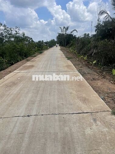 Chú cần bán gấp 7000m đất lúa Bến Lức