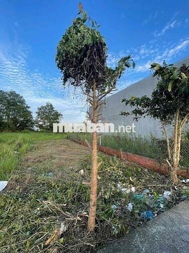 Bán nền đẹp trục A KDC Đại Lộc Phát giá 970 triệu