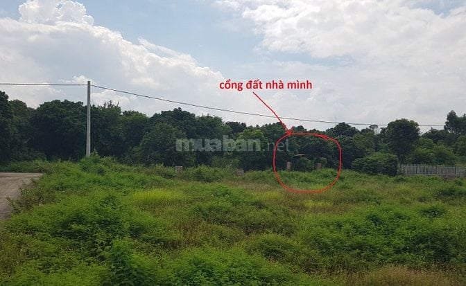 Chính chủ bán lô đất tại Phường Xuân Hòa, TP. Phúc Yên, tỉnh Vĩnh Phúc