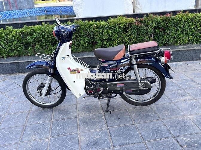 Xe Cup 50cc