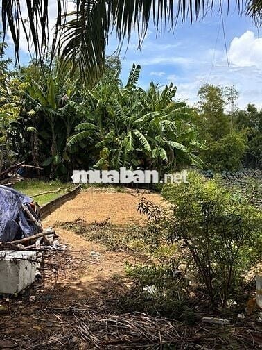 Điện Nam Bắc – Điện Bàn Đông – TP Đà Nẵng trục bê tông oto tới nơi.