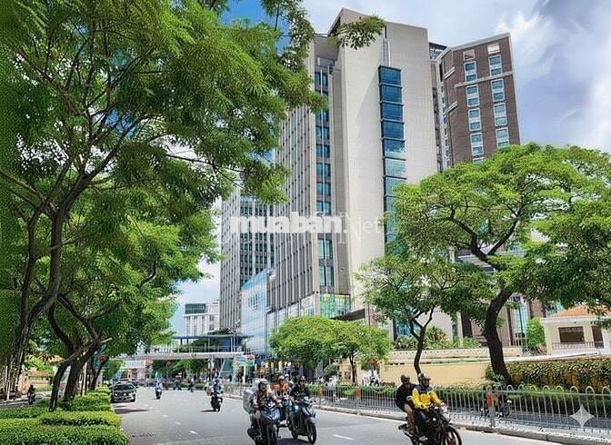 Bán nhà nát 4x38 mặt tiền Nguyễn Văn Cừ, Ngay Trần Hưng Đạo Quận 5, Q1