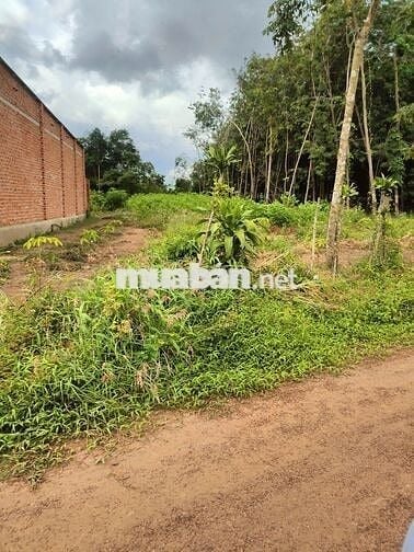 Đất thổ cư vị trí ngay cổng KCN An Linh, giá 390 triệu bao phí ra sổ.