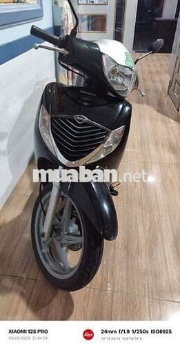 Cặp xe Sh Ý 150 đời 208-209
