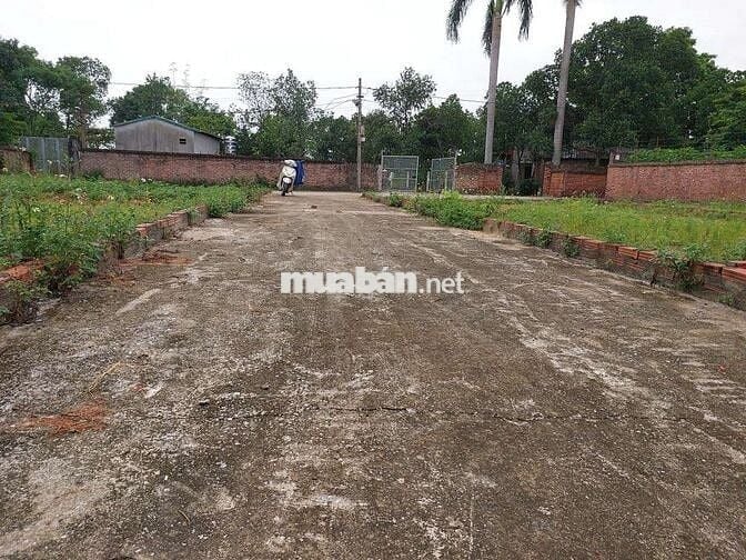 Chính chủ Bán Đất Rẻ Nhất Khu Vực. Tiềm Năng Cao cho nhà đầu tư