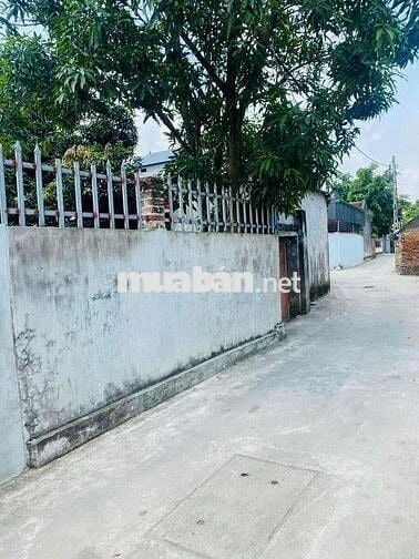 🏡 Chính chủ bán 02 lô đất full thổ cư tại Thôn Thanh Huệ, xã Đa Phúc,