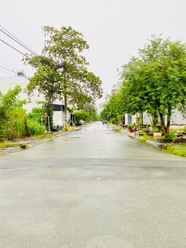 Bán đất xây biệt thự 341m2 thổ gần trường Đồng Xanh Long Thới Nhà Bè