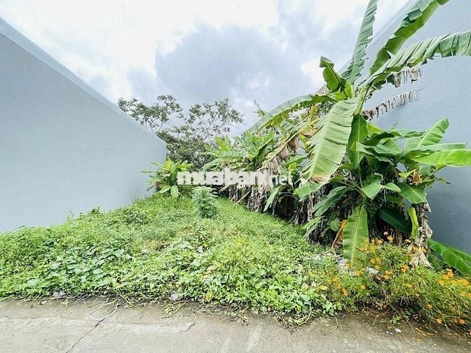 Bán nền thổ cư cách bv nhi đồng mới cần thơ 2km