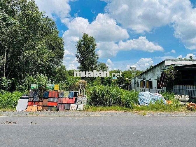 🏡✨ CHÍNH CHỦ CẦN BÁN LÔ ĐẤT MẶT TIỀN NGUYỄN VĂN KHẠ – PHÚ HÒA ĐÔNG