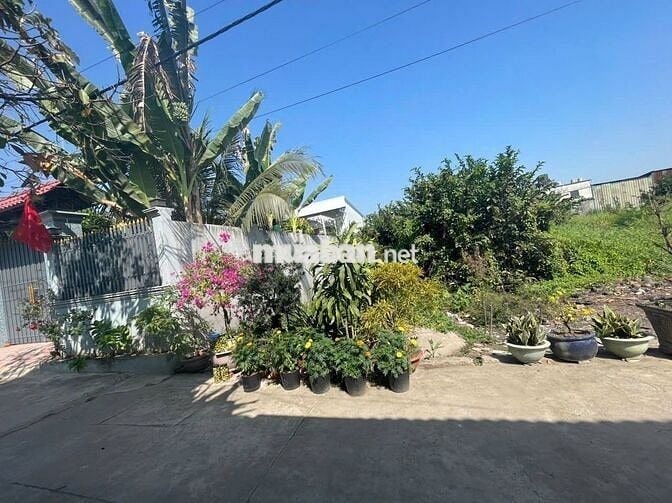 Cần bán gấp lô Đất Đẹp Giá Rẻ PHƯỚC HIỆP CỦ CHI 100m2 giá chỉ 700tr