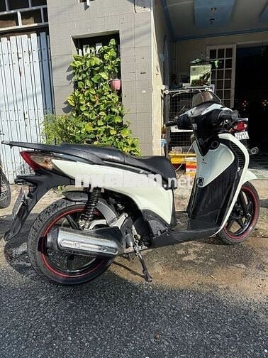 Sh số đầu 100