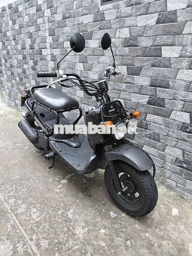 Honda Zoomer 50cc Nhật về