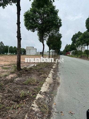 SIÊU PHẨM ĐẤT NỀN NGAY TRUNG TÂM CHỢ BÀU BÀNG