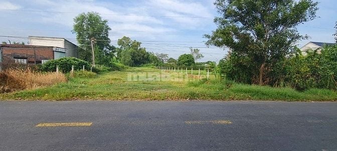 Bán đất 1100m2 tại Đường An Ninh, Xã An Ninh Tây, Đức Hòa, Long An, gi