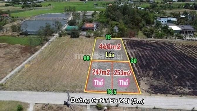 CHÍNH CHỦ kẹt tiền bán gấp 500m2 đất thổ, Phước Đông