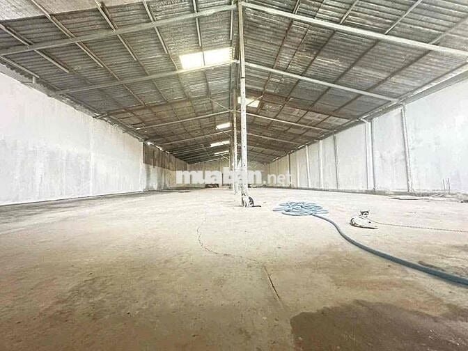Kho 600m2 cho thuê, Kinh Trung Ương, Vĩnh Lộc A, Bình Chánh