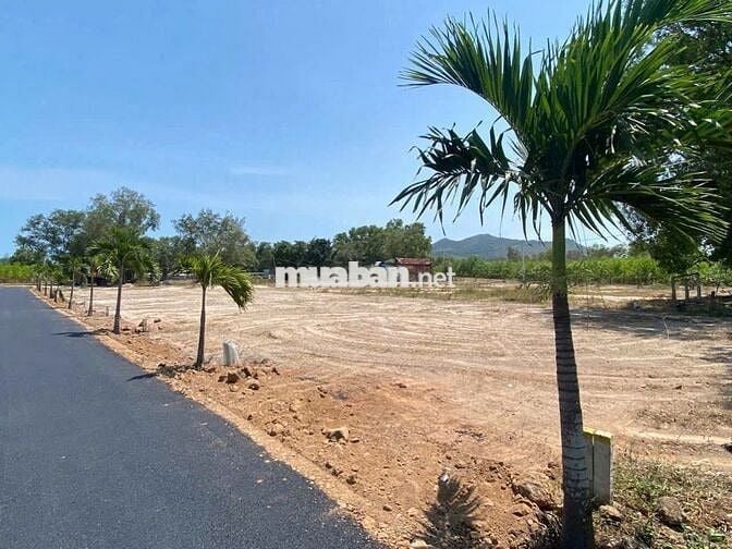 BÁN LÔ ĐẤT 2 MẶT TIỀN – PHƯỚC HẢI (Long Mỹ cũ)