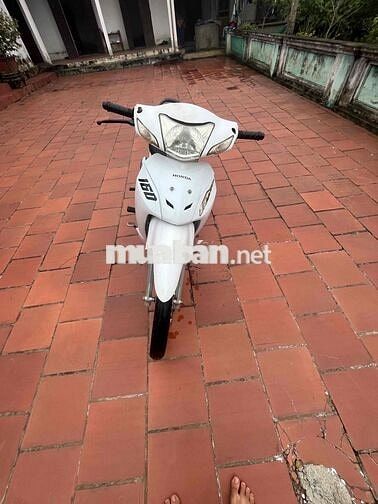 Xe wave 50cc
