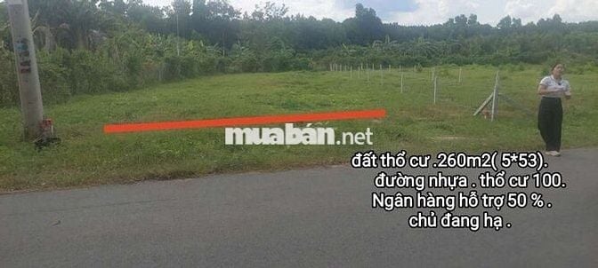 Kẹt tiền cần bán thu hồi vốn . đất tại bình dương.260m2. thổ cư 100