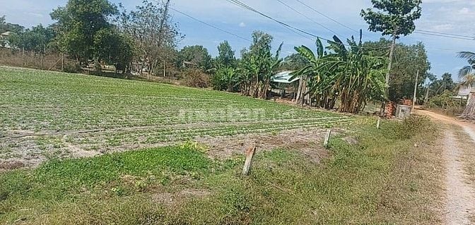 ĐẤT THỔ CƯ CHÂU THÀNH TÂY NINH