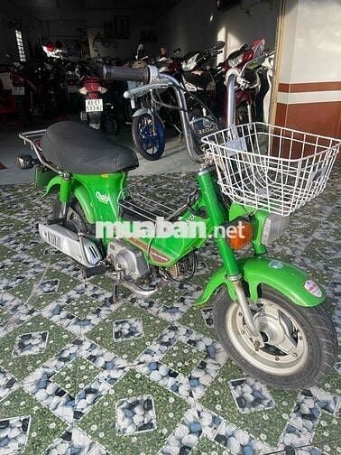 Chaly đèn vuông xin hết xe bs 65