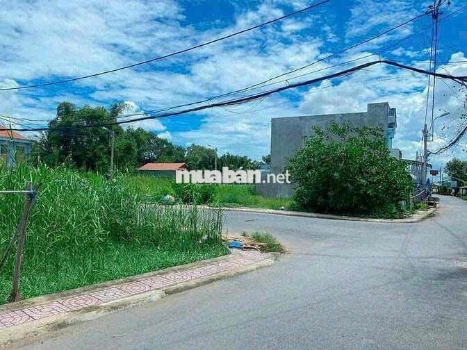 BÁN ĐẤT BÌNH CHÁNH ĐƯỜNG 8M - GẦN CHỢ ĐỆM - SỔ HỒNG RIÊNG