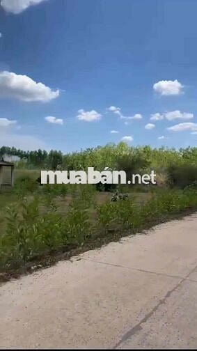 Chính chủ cần bán hạ giá 500trieu , giá cũ 6tỷ , giá mới 5,5tỷ