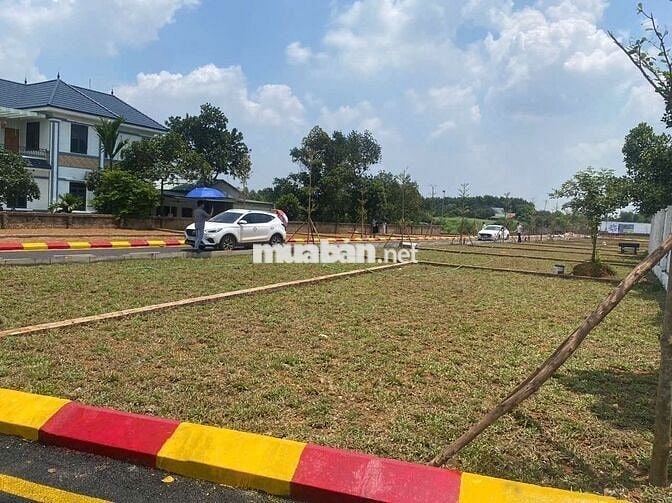 Bán đất nền Đường 21 Cổ Đông Sơn Tây, Hà Nội, giá chỉ 2,5 tỷ, DT 100m2