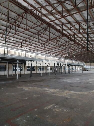 Mặt bằng SX-KD khoảng 15.000m2 Đường Trần Đại Nghĩa, Bình Chánh cũ