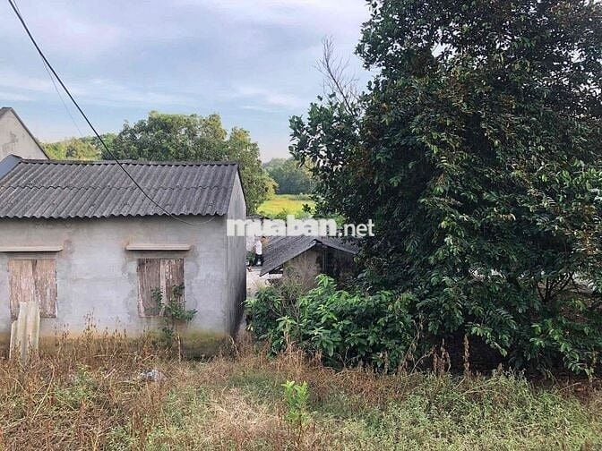 Bán 1000m2 Đất Mặt Tiền Kinh Doanh