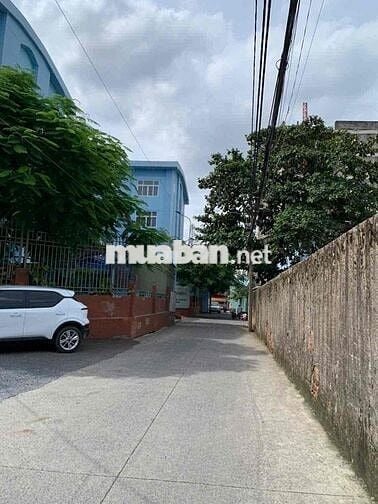 Rẻ bà cố, HXH Lý Chiêu Hoàng, DT 10x10 100m2 mà chỉ 8.5 tỷ