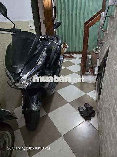 PCX hybrid 150
