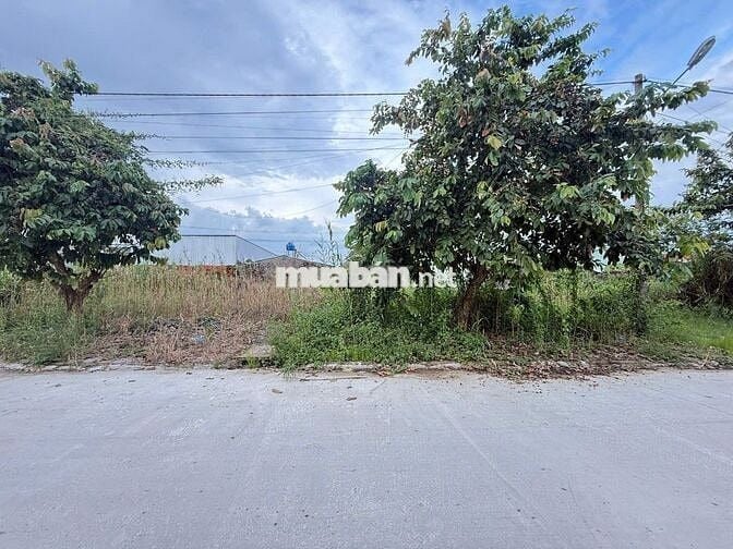 BÁN NỀN ĐS 3 KDC ĐÔNG PHÚ GIÁ ĐẦU TƯ