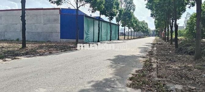Đất ngay chợ kcn Bàu bàng, DT 150m2, full thổ, sổ sẵn,sát bên KCN