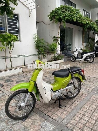 Xe cup 50cc Hàn Quốc bstp