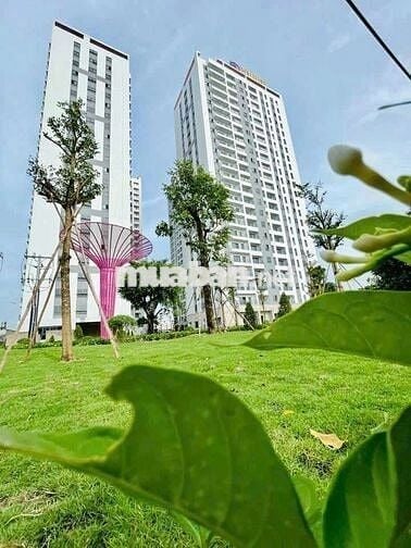 (6980) iris Tower, 55,6 m² sổ hồng 1, 420 tỷ. Nhận ký gửi