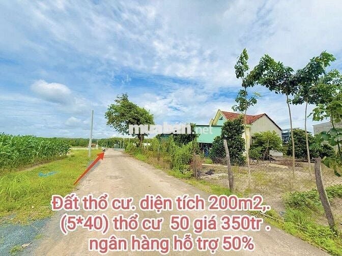 Bán  Đất thổ cư  .Diện tích 200m2 (5*40)  thổ cư 50m  .