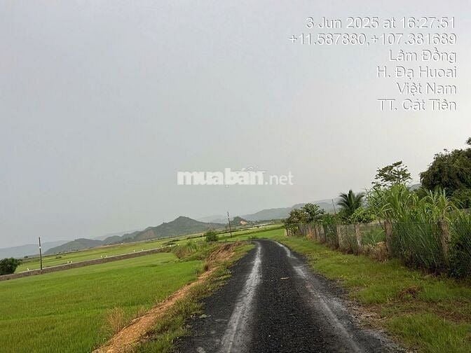 Đất vuông vức, có sẵn thổ cư, sổ hồng ri��ng chính chủ