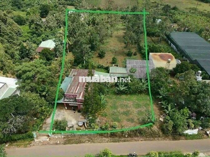 Nhà vườn nghĩ dưỡng sẵn thổ cư Lộc Tiến_ Bảo Lộc