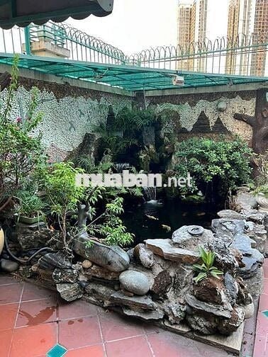 Cho thuê nhà nguyên căn Nguyễn Văn Linh - Quận 7