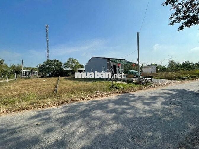 ĐẤT NGAY KHU CÔNG NGHIỆP, GIÁP THỊ TRẤN CỦ CHI 10M X 33M GIÁ 530 TRIỆU